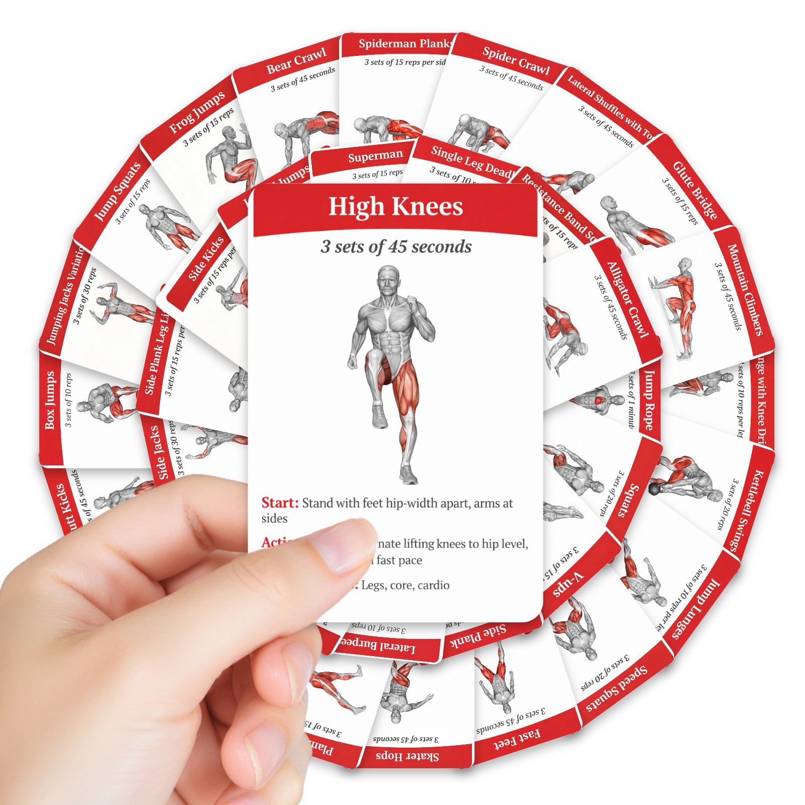 Home Gym Needs - 36 carte guida per l'allenamento per