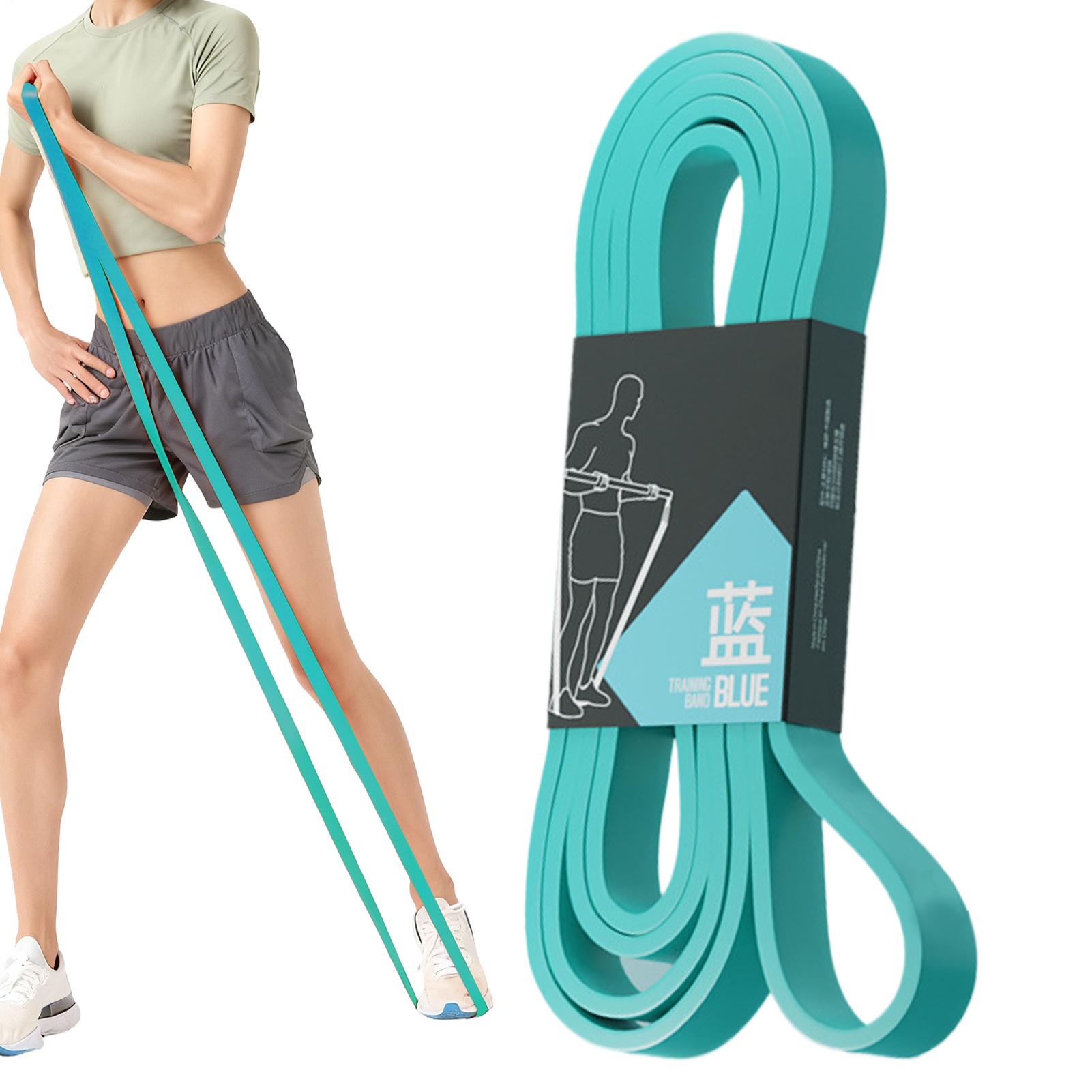 Fasce elastiche di resistenza  - Home Gym Leg Press recensione e prezzo