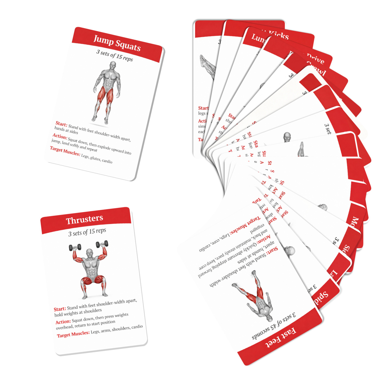 36 carte guida per l'allenamen - Home Gym Needs recensione e prezzo
